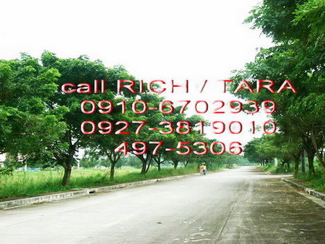 lamiradamainroad.jpg