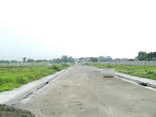 road2.jpg